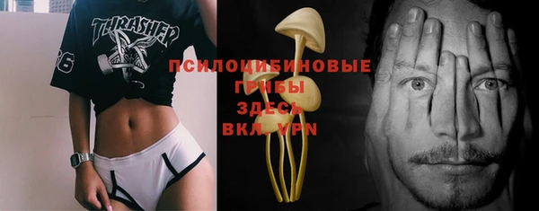 хмурый Тольятти