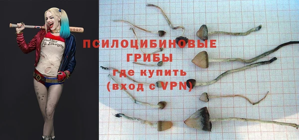 прущий лед Барнаул