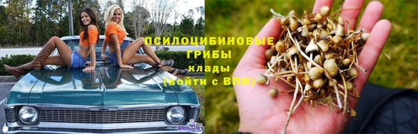 СК Костерёво