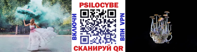 Галлюциногенные грибы мицелий  купить   Углегорск 